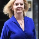 Briten-New-Forain-Minister-Truss-image.jpg