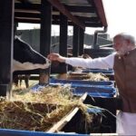 Modi-In-Kangali.jpg