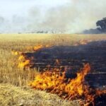 Panjab-Hariyana-Parani-Fire-Watch-Nasa-setelight.jpg