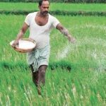 fertilizers-farmers-01.jpg
