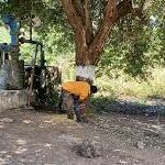 Forest-department-ready-to-uproot-251-more-trees-in-Gandhinagar.jpg