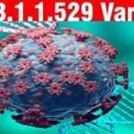 omicron-virus.jpg
