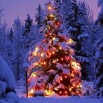 Christmas-festival-Tree.jpg
