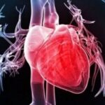 Heart-disease.jpg