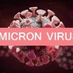 Omicronvirus-File.jpg